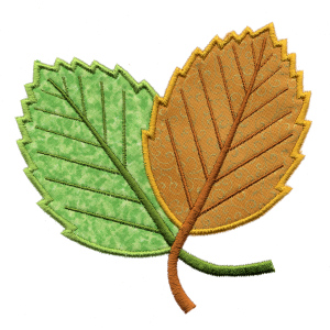 Elm Leaf 6x8